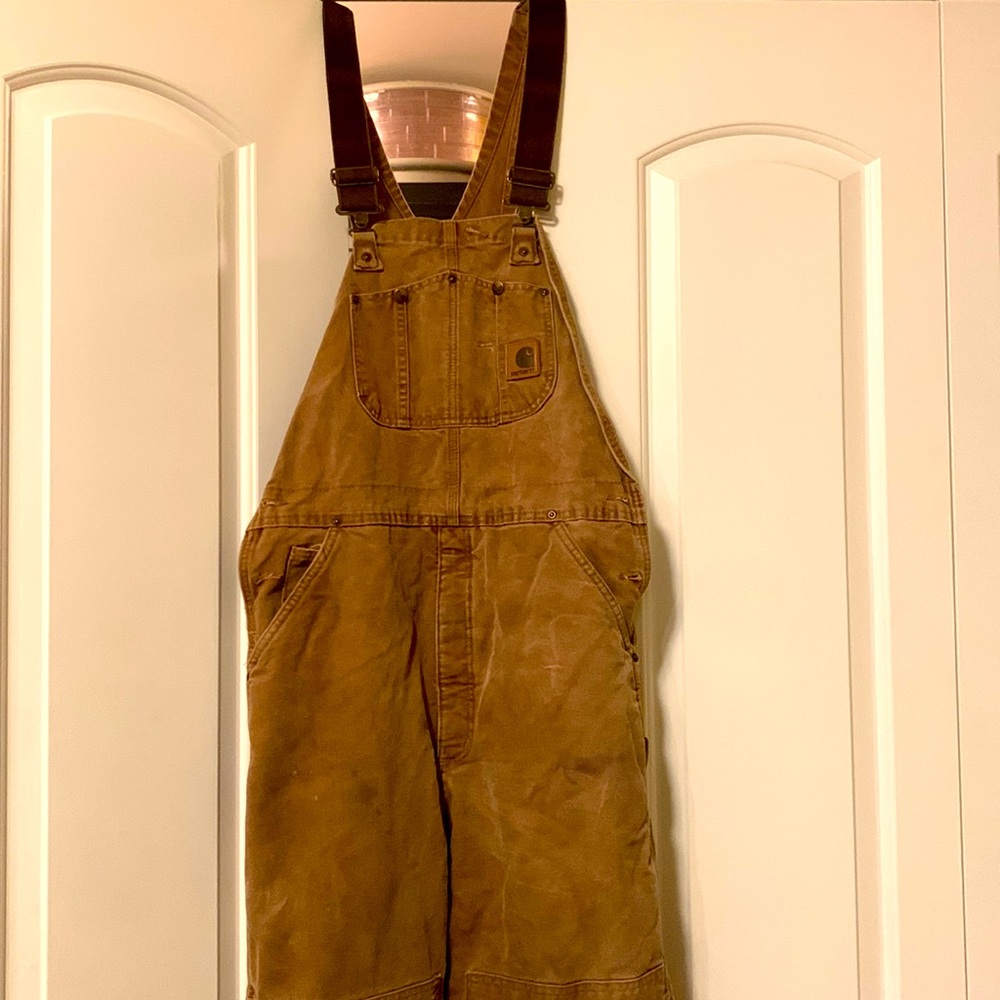 Carhartt bibs insulated
